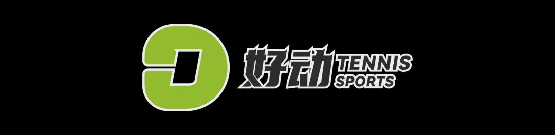 皮埃尔·萨热空降水晶宫：从法国杯荣耀到欧联杯新征途